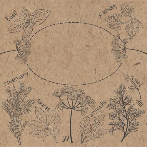 Basil. Vector culinary herbs names oval frame with place for text black outlines on craft