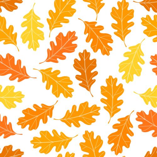 Autumn. Vector silhouettes of oak leaves on white, autumn tones