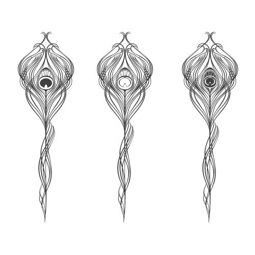 Feather. Vector stylized peacock feathers, three options on white