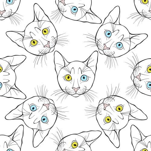 Illustration cute cat faces with colorful eyes on white