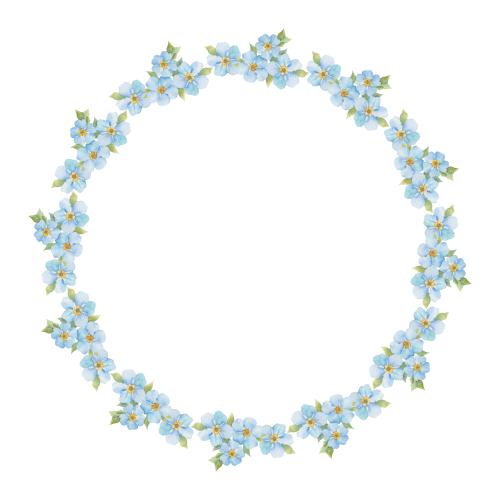 Forget-me-not. Vector watercolor forget-me-nots round frame on white