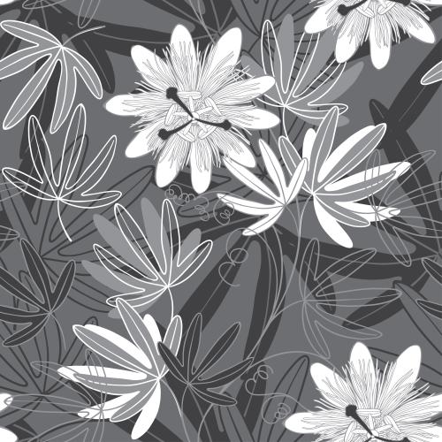 Passionflower. Vector strawflower, monochrome flowers and leaves on gray
