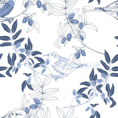 Vector image little birds on jessamine branches, blue outlines and silhouettes on white