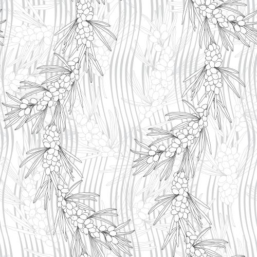 Sea buckthorn. Vector sea buckthorn, monochrome branches with berries, wavy lines on white