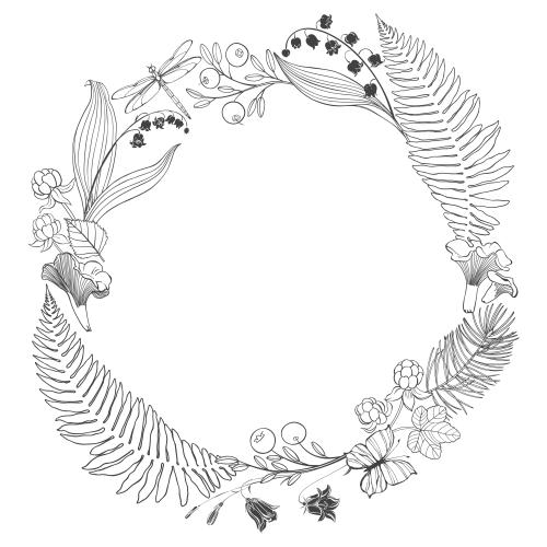 Cloudberry. Vector frame of forest plants and flowers ferns lily of the valley bellflowers cloudberry blueberry chanterelle mushrooms butterfly and dragonfly
