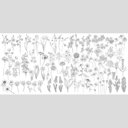 Vector image collection of flowers on white