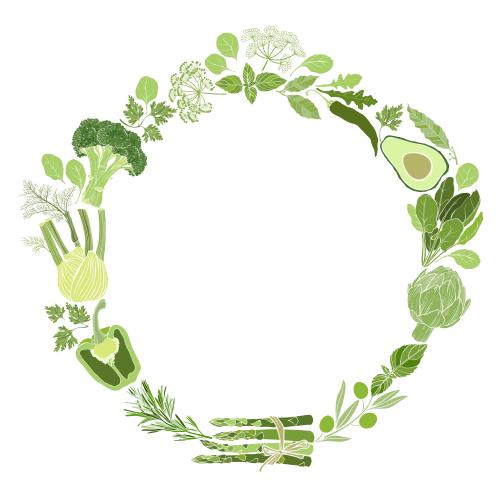 Basil. Vector round frame of vegetables and culinary herbs on white
