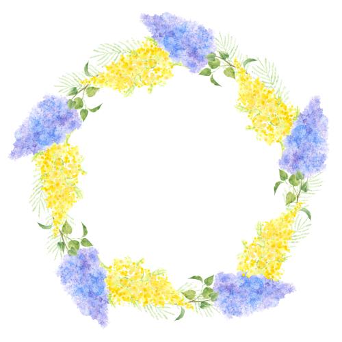 Lilac. Vector watercolor lilac and mimosa round frame on white