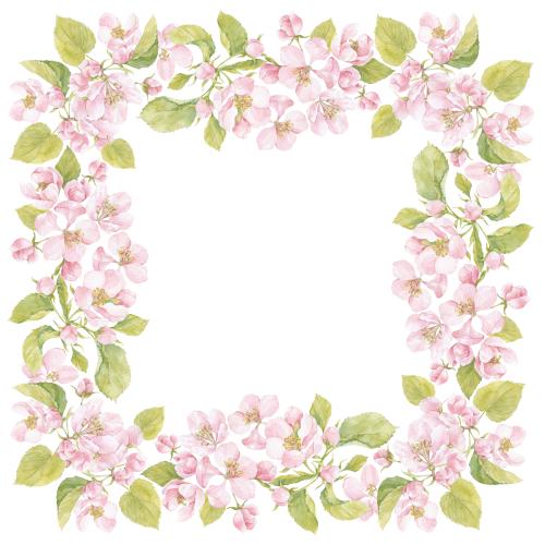 Apple tree. Vector watercolor flowers and apple tree leaves, square frame on white