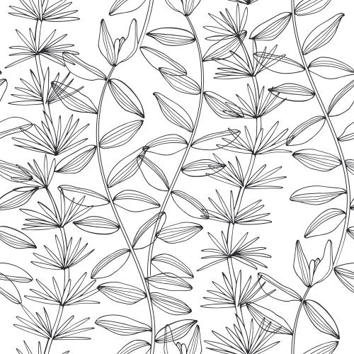 Underwater plant. Vector Pattern sea algae black contours on white