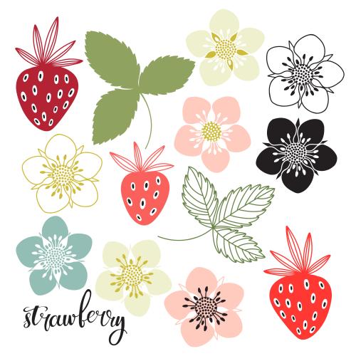 Strawberry. Vector strawberry flowers leaves and berries on white