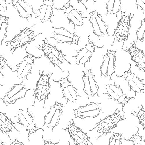 Bug. Vector outlines of different beetles on white