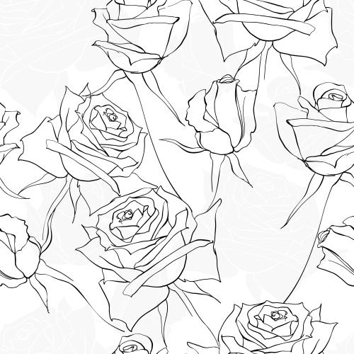 Rose. Vector roses contours of flowers on white