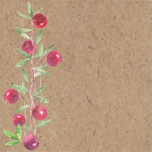 Cranberry. Vector watercolor cranberry branches with berries text area on kraft