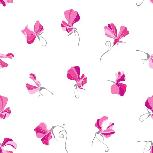 Sweet pea. Vector fragrant peas on white