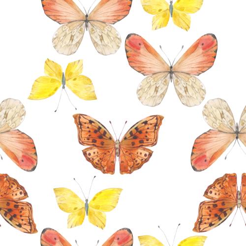 Raster image watercolor butterflies on white