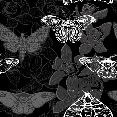Illustration night butterflies, orchids on black