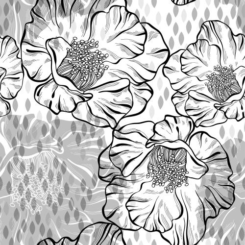 Poppy. Vector silhouettes and contours of flowers decorative leaves on white