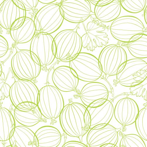Gooseberry. Vector currant berries on white contour print