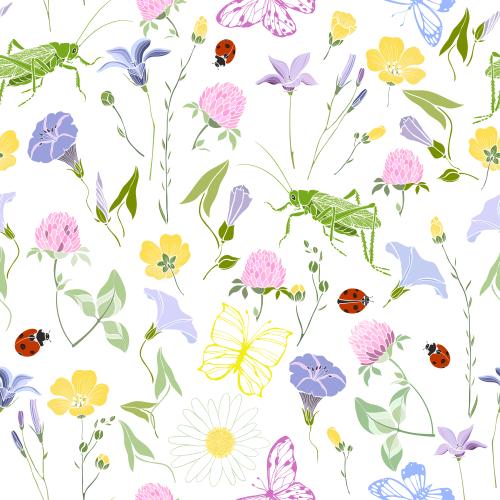 Grasshopper. Vector meadow flowers, grasshoppers, butterflies and ladybugs on white