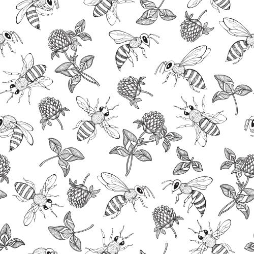 Clover. Vector monochrome flowers and clover leaves bees on white