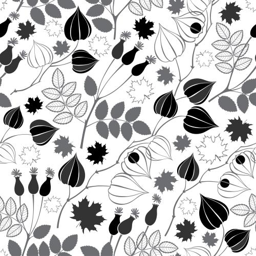 Maple leaf. Vector physalis, rosehip, maple leaves, silhouettes and outlines on white