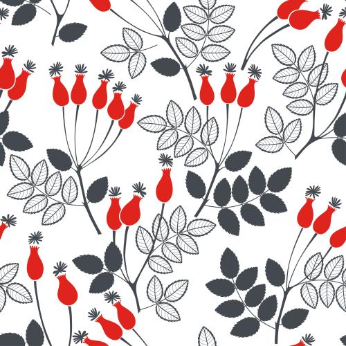 Autumn. Vector rosehip, monochrome branches with red berries on white