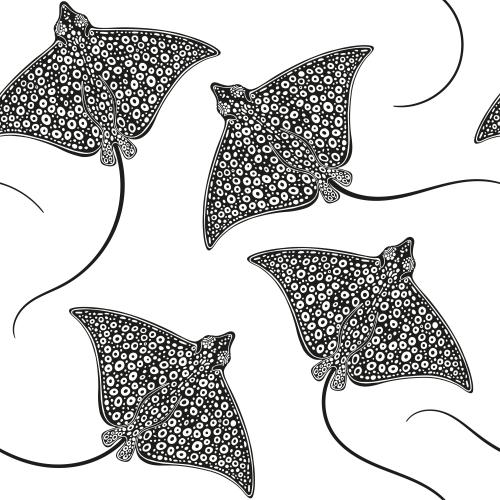 Stingray. Vector slopes, black silhouettes on white