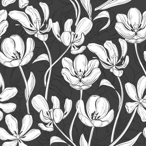 Tulip. Vector white silhouettes and gray contours of tulips on black