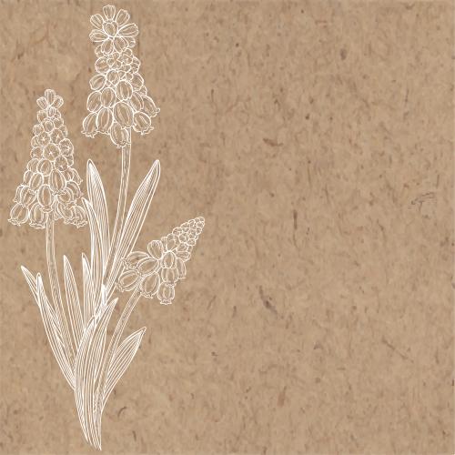 Muscari. Vector muscaris place for text on craft