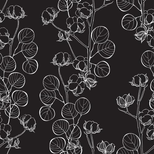 Eucalyptus. Vector eucalyptus branches and cotton on black