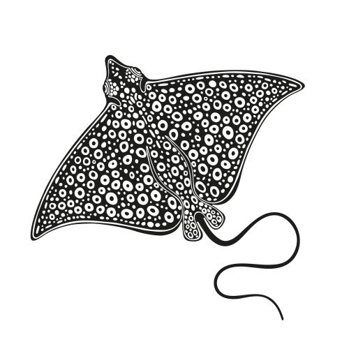 Stingray. Vector skate, black silhouette on white