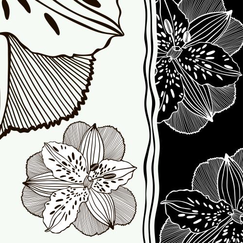 Vector image black and white irises