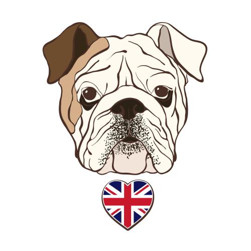 English. Vector head of an english bulldog and flag of britain in the shape of a heart