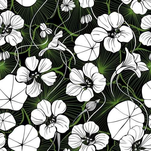 Bud. Vector nasturtium white silhouettes and green leaf contours on black