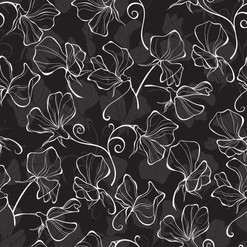 Sweet pea. Vector fragrant peas white outlines and gray silhouettes on black