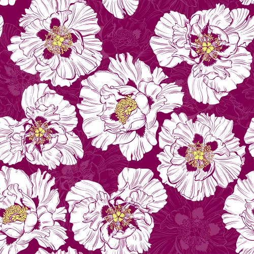 Vector image peonies contours and silhouettes of flowers on colored