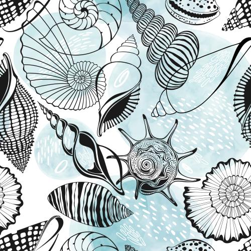 Nautilus. Vector shells nautiluses decorative watercolor fragments on white