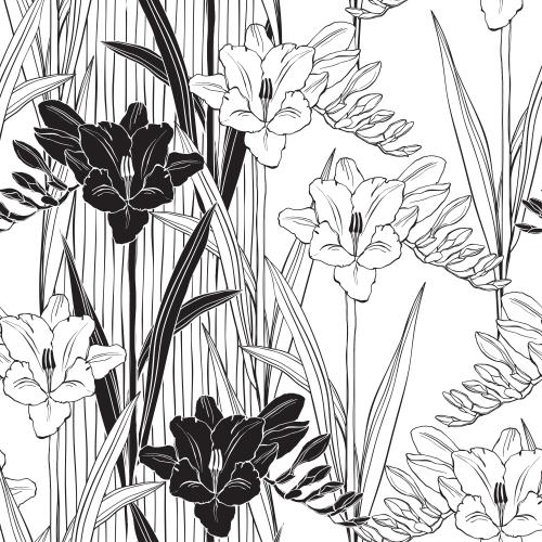 Freesia. Vector carnations black outlines and silhouettes decorative vertical lines on white