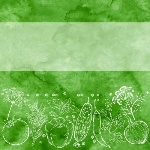 Basil. Vector vegetables and culinary herbs space for text on watercolor green