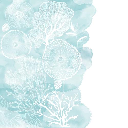 Shell. Vector abstract sea creatures corals algae shells on blue watercolor fragment space for text on white