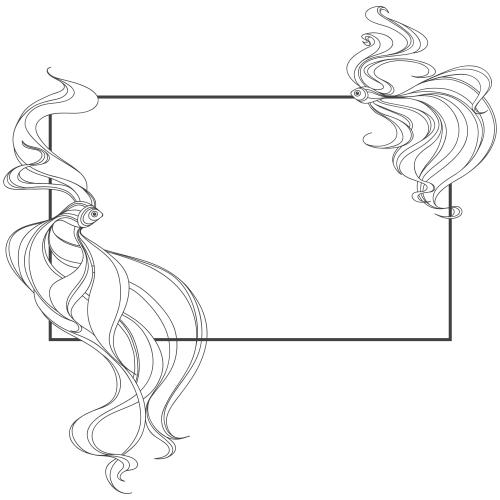 Illustration rectangular frame with two fish on white