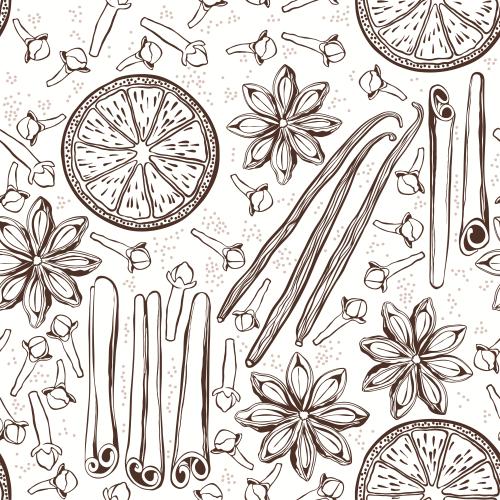 Spice. Vector monochrome sticks of cinnamon and vanilla, clove, anise, orange slices on white
