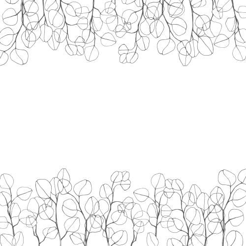 Eucalyptus. Vector monochrome eucalyptus branches space for text contours on white