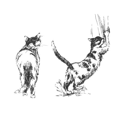 Vector image two kittens sketch on white