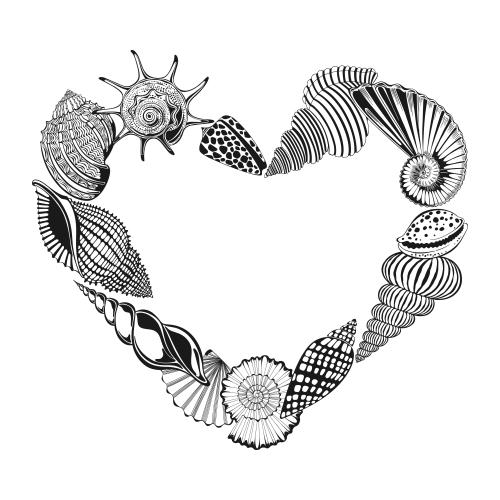 Vector image shells and nautiluses composition in the shape of a heart with a place for text on white
