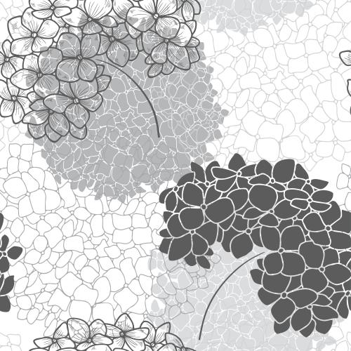 Hydrangea. Vector hydrangea silhouettes and contours of flowers on white