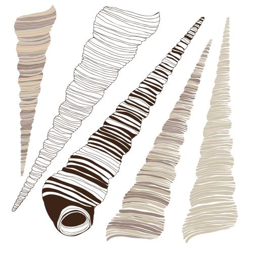 Illustration white shell options