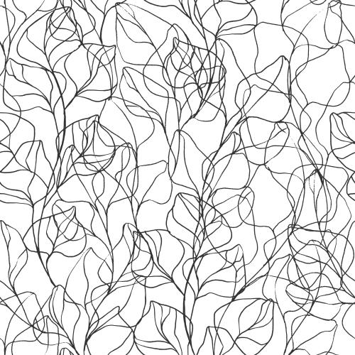 Vector image eucalyptus twigs black contours on white