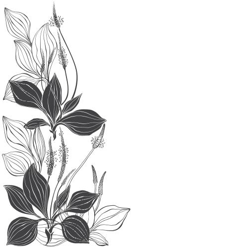 Vector image black contours and silhouettes, space for text on white